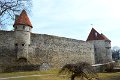 Tallinn (60)